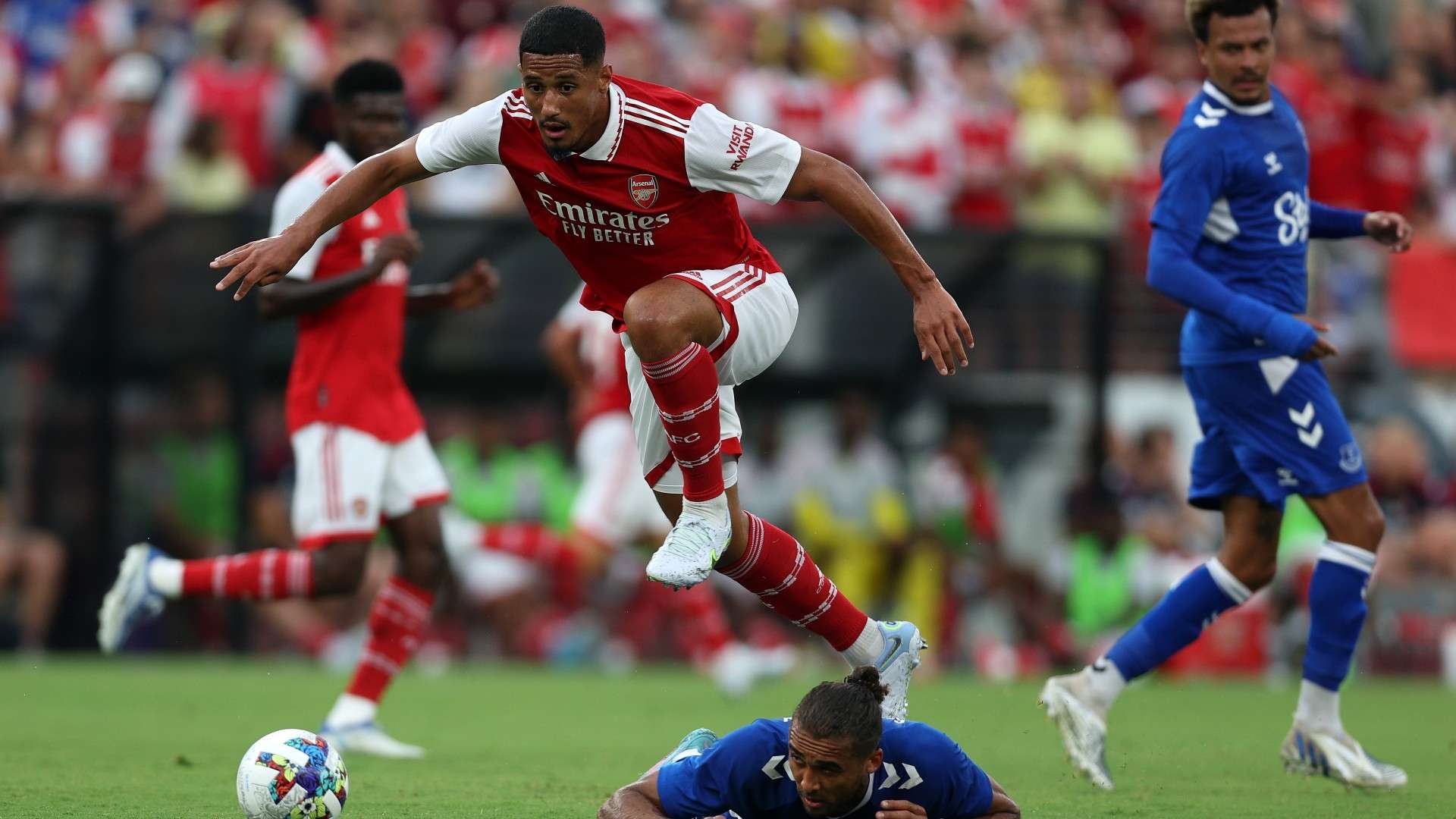 红色和白色 红色和白色